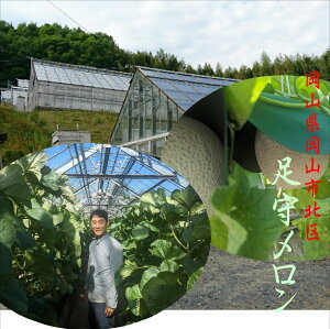 YnII{̖IIRk@烁i}XNj1ʁi1.4kgȏj