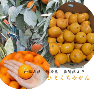 ÖǋIIa̎REEF{@ЂƂ݂@2S`3S@1