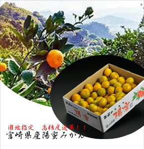 xIʁIInwII{茧@z݂@2S~S1