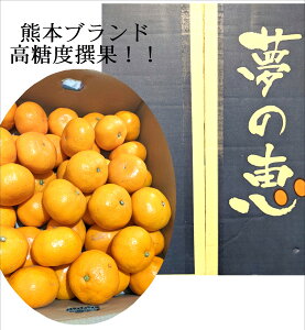 F{Y@uoC[I񂾔v@̜݂@2S~S