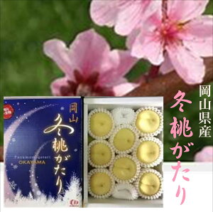 RY@iȊÂ݂ƂȓƖLxȉʏ`@uR ~v@1