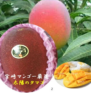 �{�茧�Y�@�{��}���S�[�̌��I�i�u���z�̃^�}�S�v1�������̃f�U�C���͕ς��ꍇ��������܂��B