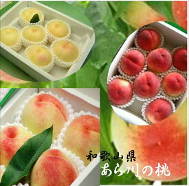 「あら川の桃」和歌山県産　上品な甘みとサラッとした肉質　1箱※出荷時期により品種が異なります。商品画像は1.2kg詰めです。