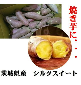 「焼き芋に最適！！」「熟成すれば蜜芋に！！」茨城県産　シルクスイート（サツマイモ）L〜M寸　1箱1kg（3〜5本入り）