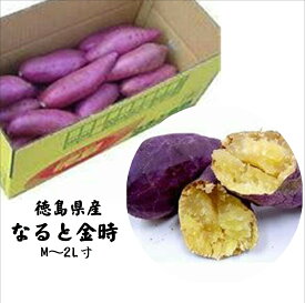 徳島県産名産！！徳島県産　鳴門金時（サツマイモ）M〜2L寸