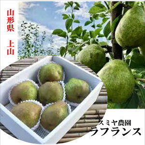 適熟!!山形県産 上山 スミヤ農園ラフランス  1箱