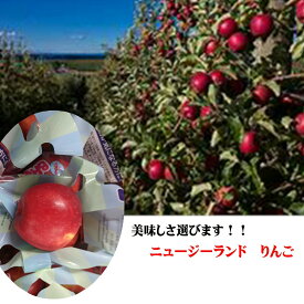ニュージーランドりんご　バイヤーが選んだ「旬のりんご」1箱※簡易箱・簡易包装でのご配送となります。なお入数は前後する場合がございます。