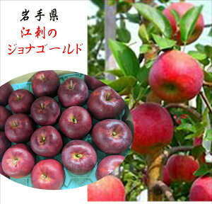 ]hV[YII茧]hY@oC[I񂾔IITWiS[h