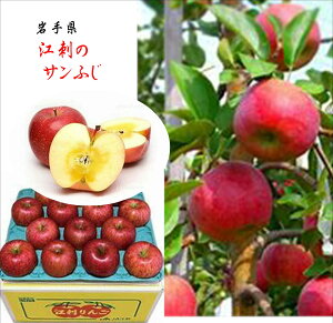 ]hV[YII茧]hY@oC[I񂾔II]h̃Tӂ