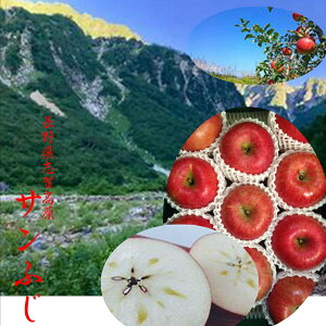 쌧YTӂ̍ōIIuꍂ̃Tӂ