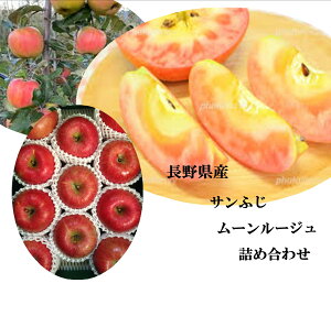 󏭁IIWEP[LޗɍœKII쌧sY@[[W@&@쌧㍂n񂲏oבgY@Ȃ̃Tӂ