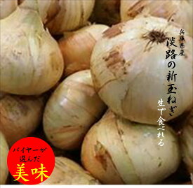 兵庫県産　今だけ　生でも美味しい「淡路の新玉ねぎ」L〜L～2L寸1箱（3kg）※商品仕様の個数は2Lサイズのおおよその入数です
