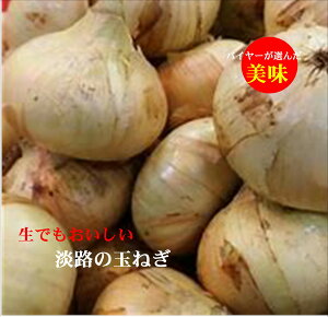 ɌY@2025NxY@łuWH̋ʂ˂vL`2L1idľ2LTCŶ悻̓ł