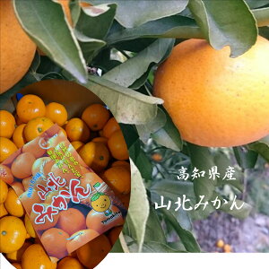 mY@uoC[I񂾔vRk݂@M`L