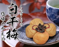 【減塩】実くずれ梅干し 訳あり 送料無料　白干梅減塩　700g【塩分 約9％】【無添加】【南高梅】【訳あり…