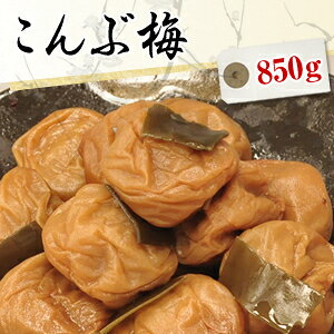  Ԕ~ 850gyYzy썂~iE{VjzyANXIBY썂~i߂ڂjzya̎RY~zɂẮAkC400~A600~ʓrSƂȂ܂