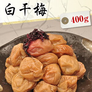  ~ 400gyYzy썂~iE{VjzyANXIBY썂~i߂ڂjzya̎RY~zɂẮAkC400~A600~ʓrSƂȂ܂B