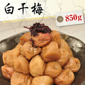  ~ 850gyzyYzy썂~iE{VjzyANXIBY썂~i߂ڂjzya̎RY~zɂẮAkC400~A600~ʓrSƂ