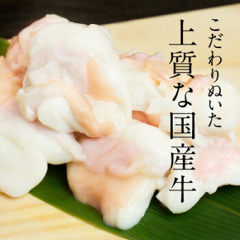 脂身ぷりっぷり!『国産牛ぷるるん生ホルモン300g』5万個突破!焼肉に牛もつ鍋にBBQに国産牛小腸