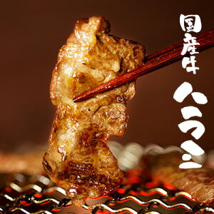 wYn~140gx[BY]tȂA_炩AW[V[݂͂y z o[xL[ BBQ ē z z  Ε Ε Mtg 2025 t Mtg j zĂ