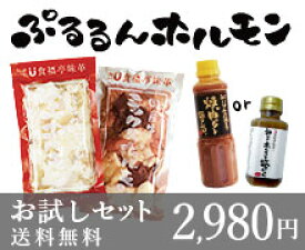 送料無料『ホルモン焼肉 食べ比べセット500g（約4-5人前）』味付けなし　選べるタレ！あす楽 ホルモン バーベキュー BBQ 焼肉 ホルモン鍋 牛ホルモン もつ鍋 ギフト 2024 ギフト 祝い ホルモン焼き 贈り物 誕生日 お取り寄せ