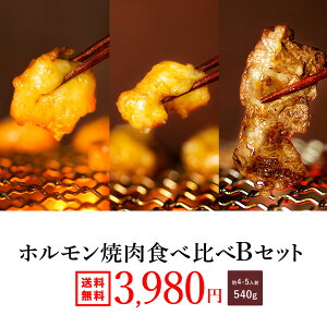 yzwzē BZbg540gi4-5lOjxtȂ@Iׂ^Iy z o[xL[ BBQ ē z z  Ε Ε Mtg 2025 t Mtg j