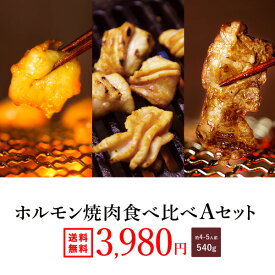 送料無料『ホルモン焼肉 Aセット540g（約4-5人前）』味付けなし　選べるタレ！あす楽 ホルモン バーベキュー BBQ 焼肉 ホルモン鍋 牛ホルモン もつ鍋 歳暮 御歳暮 ギフト 2024 冬 ギフト 祝い ホルモン焼き 贈り物 誕生日 お取り寄せ