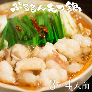 wՂ 3-4lOZbgxy   Zbg z Ε Mtg 2025 t Mtg j zĂ 蕨  a ] 