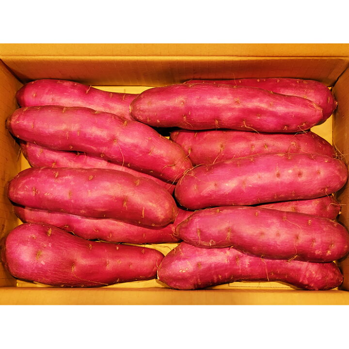 パープルスイートロード1200本｜根菜・豆類・もやし