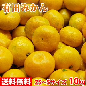 yz a̎RY@Lc݂@Gi@2S`STCY@10kgij