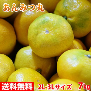 yzꌧY@݂݂ i݂ہj Gi@2L`3LTCY@7kgij