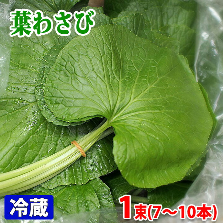 楽天市場】徳島県産 葉わさび 7〜10枚/束 : 生鮮食品直送便