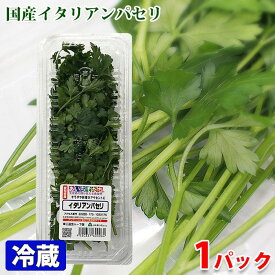 国産　イタリアンパセリ　約15g （1パック）