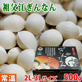 【送料無料】 愛知県産　祖父江ぎんなん　藤九郎　2L〜3Lサイズ　500g