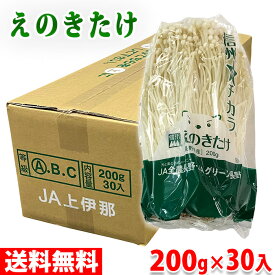 【送料無料】長野県産　えのき　200g×30パック入り箱