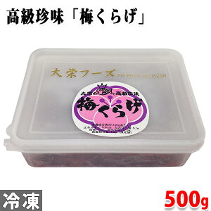 ht[Y@~炰@500g NQ y Ɩp т̂