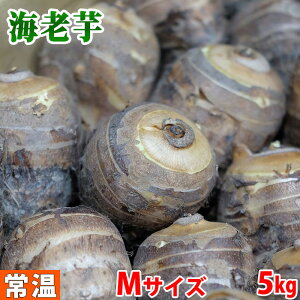 yz ÉY@CViтj@Ai@MTCY@5kg