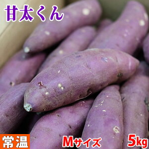 yz啪YiJAj܂@g͂邩@Ñ@A@MTCY@5kg (24`27{O)  