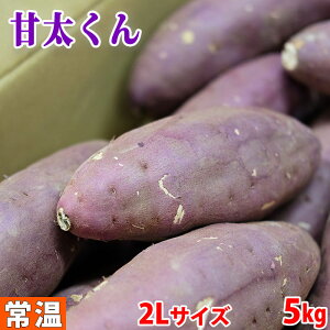 yz啪YiJAj܂@g͂邩@Ñ@A@2LTCY@5kg (12`14{O)  