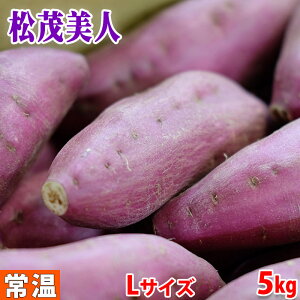 yz YiJAÏ΁j܂@ȂƋ@uΔlv@Gi@LTCY@5kgi18`19{Oj