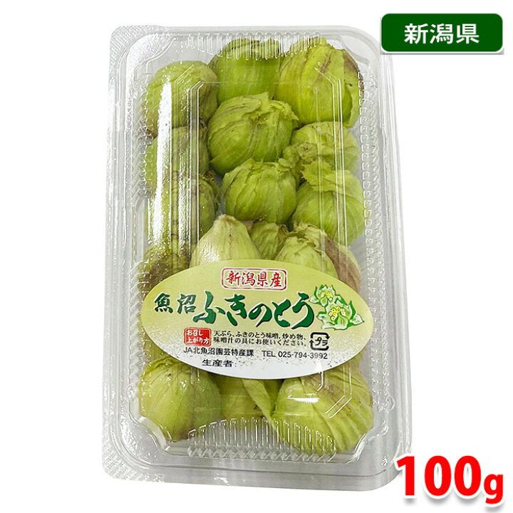 楽天市場】新潟県産他 蕗の薹 （ふきのとう） 約100g 2S〜Sサイズ 