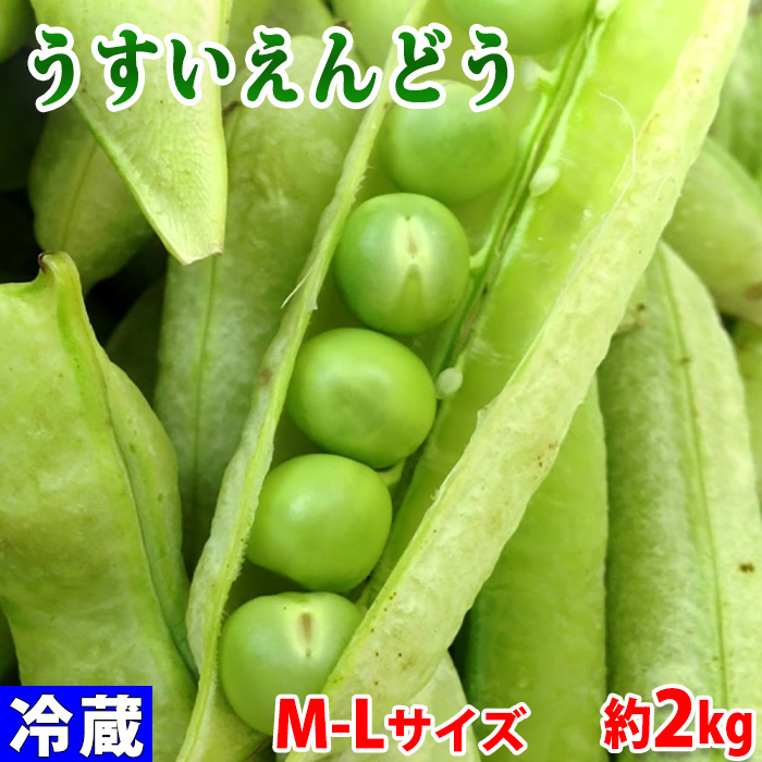 春野菜 和歌山県産 うすいえんどう 秀品 Ｍ～Ｌサイズ 約2kg（箱）