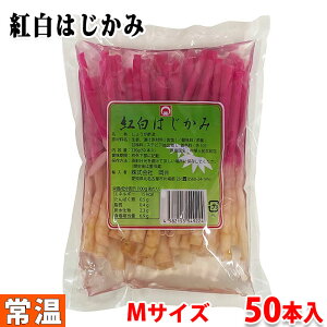 @g͂݁i܁j MTCY@220gi50{j