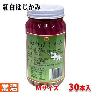 @g͂݁irj MTCY@132gi30{j