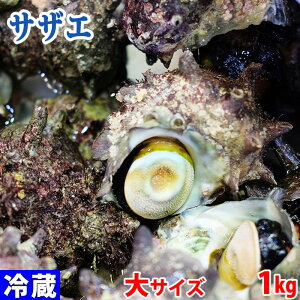 QY ij TUG@TCY@1kg i4`6j