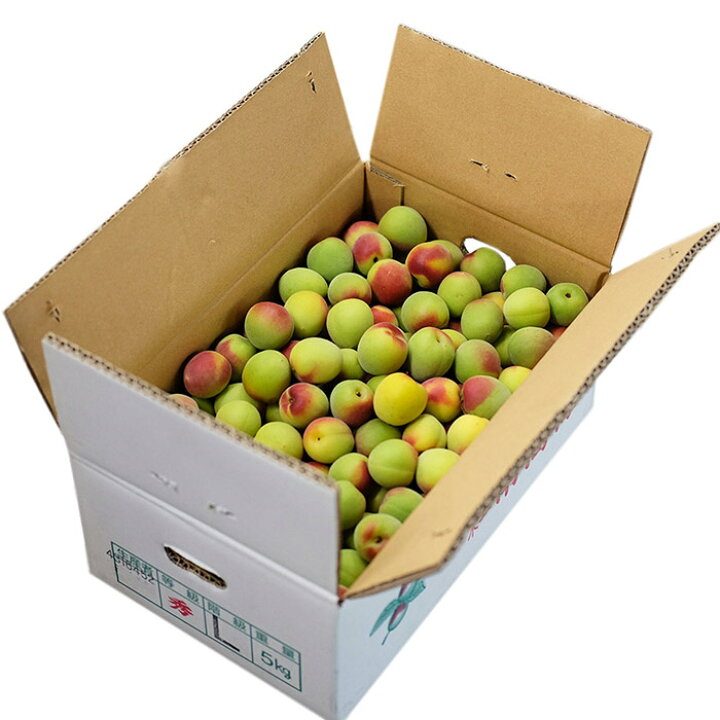 楽天市場】和歌山県産 紅南高梅 秀品 2L〜4Lサイズ 5kg （箱） 国産 梅 