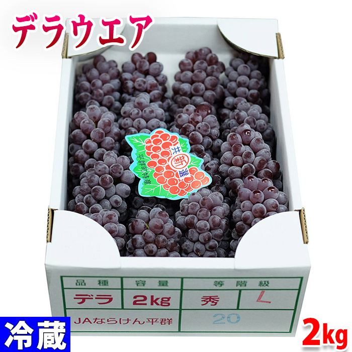 楽天市場】奈良県産 デラウエア 秀品 L～2Lサイズ 約2kg （箱） : 生鮮