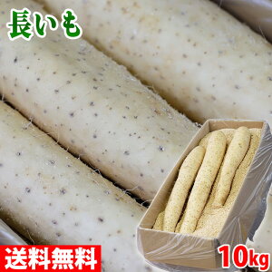 yz kCY@ ij L`3LTCY i9`15{j 10kg