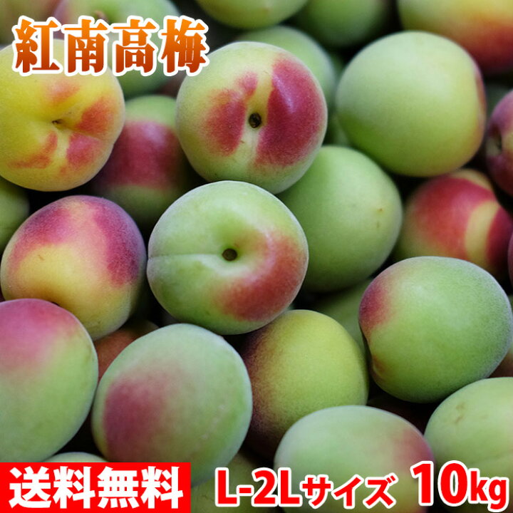 楽天市場】【送料無料】 和歌山県産 紅南高梅 秀品 M～2Lサイズ 10kg 