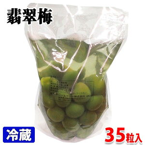 W[GtV[@Ő~ i~̃VbvЂj 35@pbN